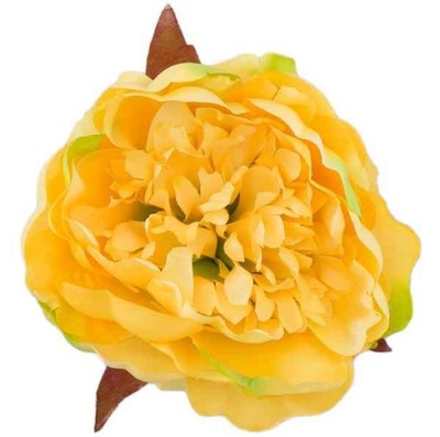 Peonia tafta główka Kwiat Yellow Green