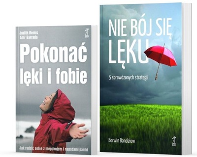 Pokonać lęki i fobie Nie bój się lęku Bemis