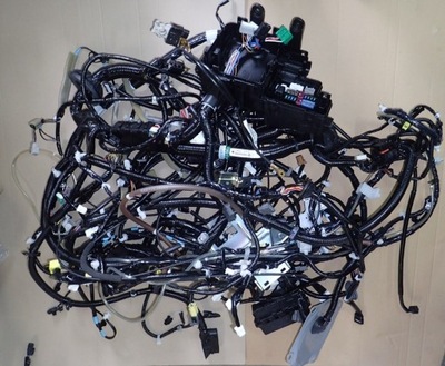 Dw nissan x-trail джгут головна 240177fv5a фото №1