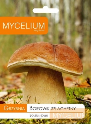 Grzybnia BOROWIK Szlachetny 60ml MYCELIUM