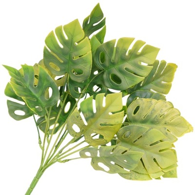 MONSTERA BUKIET LIŚCIE MONSTERY GAŁĄZKI DUŻY