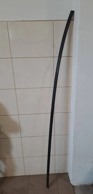 Dacia sandero iii stepway молдинг дахова права 738542894r фото №1