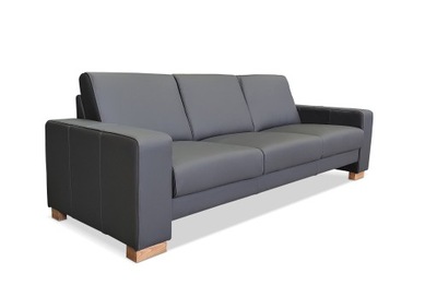 Skórzana Sofa Kanapa ze skóry Skóra naturalna