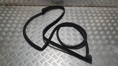 Прокладка дверь правый перед kia ceed iii hb 18- фото №1