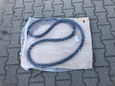 Skoda rapid прокладка двері задніх правих 5ja фото №1