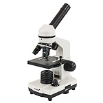 (PL) Mikroskop Levenhuk Rainbow 2L