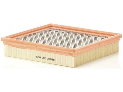 MANN-FILTER MANN-FILTER C 22 029 ФІЛЬТР ПОВІТРЯ