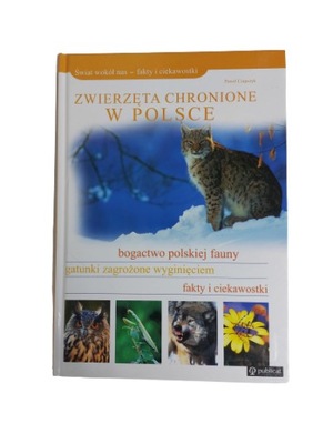 Zwierzęta chronione w Polsce Czapczyk