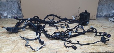 Genesis coupe 3.8 g6da джгут електропроводка двигуна фото №1