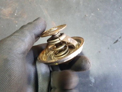 Термостат wahler оригинал фото №1