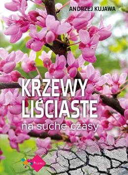 Krzewy liściaste na suche czasy rośliny ozdobne