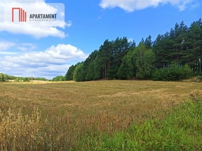 Działka, Miedzno, Osie (gm.), 3000 m²