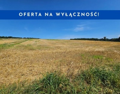 Działka, Michałowice, 1376 m²