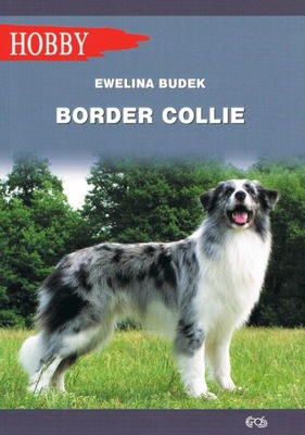 Border Collie w.2020 - Budek Ewelina