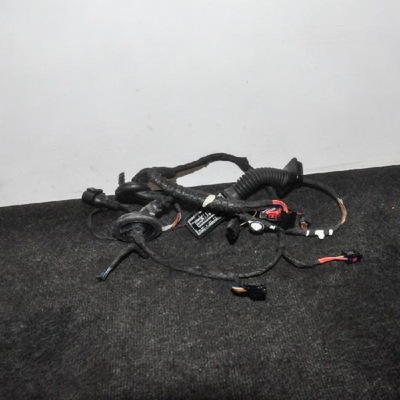 AUDI A6 WIRE ASSEMBLY WIRES DOOR REAR LEFT C7 4F0971841E 2016 - milautoparts-fr.ukrlive.com