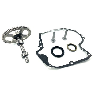 PARA BRIGGS STRATTON 793880 EJE DISTRIBUCIÓN 697110 7  