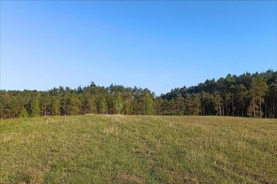 Działka, Łosiny, Tuchola (gm.), 3082 m²