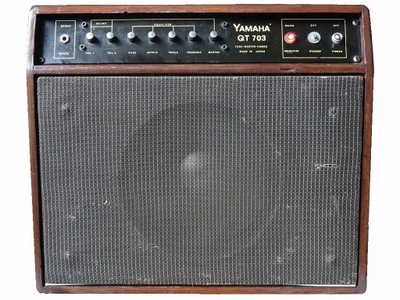 Wzmacniacz gitarowy estradowy . 0222