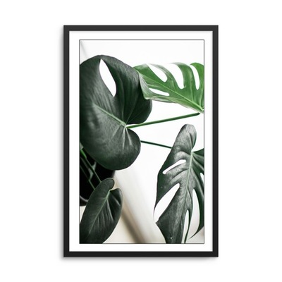 Plakat w ramie PHOTO MONSTERA 70x100