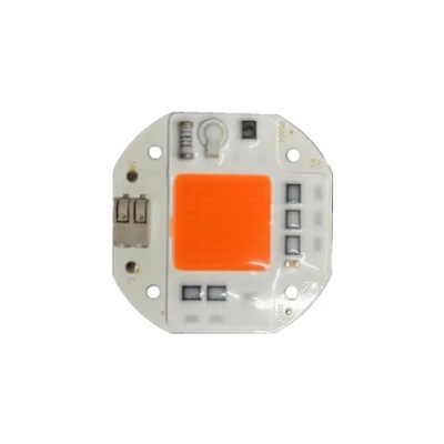 CHIP LED 100W 70W 50W COB : REFLEKTORIAUS REFLEKTORIUS 220V 110V ZINTEGROWANE 