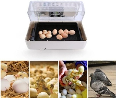 inkubator do jaj jajek 80W 24 jaja automatyczne sterowanie