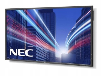 Monitor NEC E905