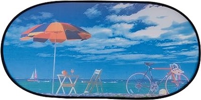 B1326 PROTECTION SUNPROOF ON TYLON GLASS 100X46CM  