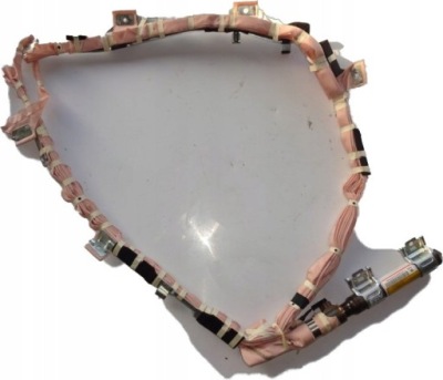 Шторка безпеки повітряна ліва toyota rav4 5d 2000-2005r фото №1