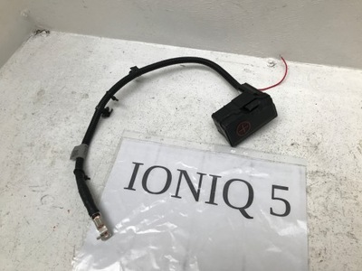 Hyundai ioniq 5 клема plus плюсова шланг 2021-2023 фото №1