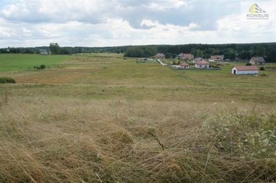 Działka, Brudzów, Morawica (gm.), 11544 m²