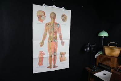 Tablica plansza medyczna plakat akupunktura DUŻY