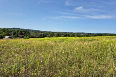 Działka, Kraków, Swoszowice, 1584 m²