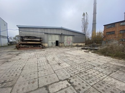 Magazyny i hale, Szczecin, Podjuchy, 800 m²
