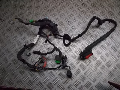 Джгут електрична двері правий перед volvo s80 ii 2.4 d5 фото №1