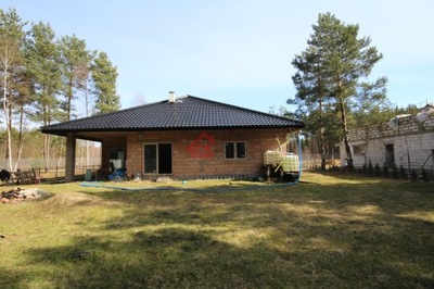 Dom, Szczecno, Daleszyce (gm.), 160 m²