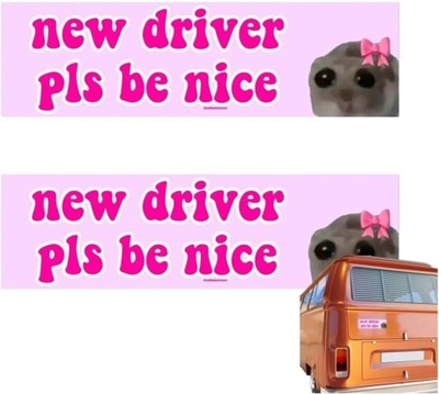 Nice Driver Car Sticker, New Driver Please Be Nice, New Driver Sad Hamster