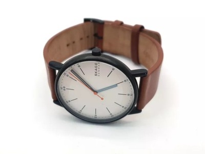 ZEGAREK SKAGEN DENMARK SKW 6374