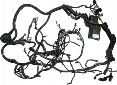 Джгут електрична електропроводка infiniti fx35 fx45 фото №1