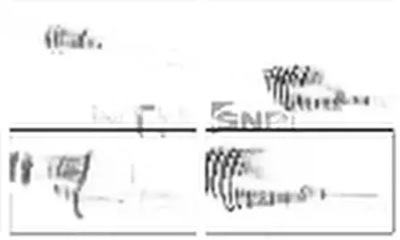Приводной вал правый  перед dk55.130 snr renault kangoo 1 фото №1