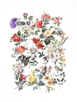 Naklejki Kwiaty 10x15 cm Galeria Papieru ARGO