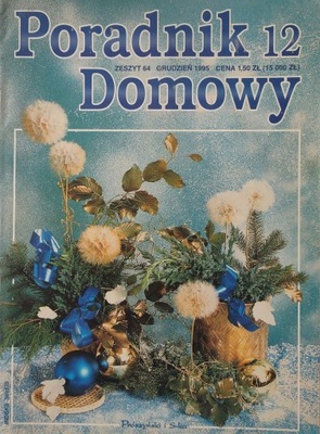 Poradnik domowy 12 1995