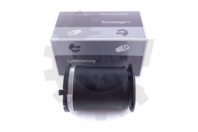 Esen skv 58skv024 подушка воздушная, подвеска фото №1