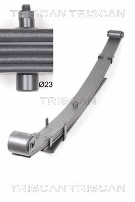 RESORTE HYUNDAI PARTE TRASERA H-1 STAREX 97-07 (3 1) (530/680MM) 876543003  