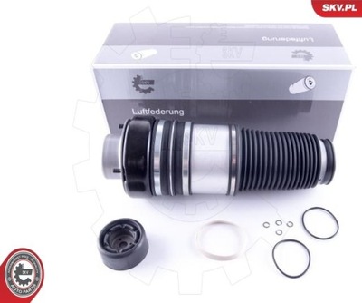 BOLSA DE AIRE NEUMÁTICA SUSPENSIONES AUDI A6 C6 2.0 TFSI 05-11 LP  