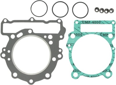 SANDARIKLIAI TOP END MOOSE RACING CAN-AM DS 650 