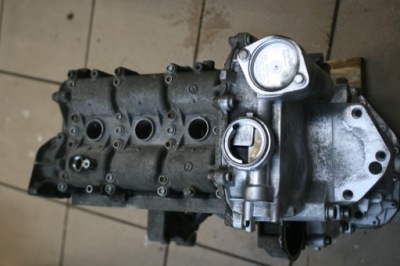 Двигун cgp 1.2 12v cgp cgpa cgpb cgpc polo seat vw фото №1