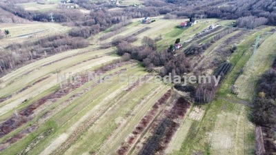 Działka, Łysa Góra, Dębno (gm.), 7000 m²