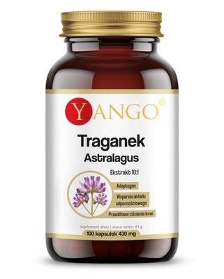 Traganek Astragalus ekstrakt 10:1 100 kaps Yango