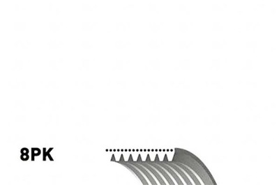 РЕМЕНЬ ПОЛИКЛИНОВЫЙ ПОЛИКЛИНОВЫЙ GATES 05015962AA 501506 8PK2485 GAT8PK2485