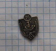 odznaka ministranta(3)